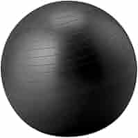 TECHNOGYM バランスボール 黒　55cm TECHNOGYM バランスボール 黒 55cm Wellness Ball Active
